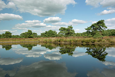 BUITEN BEELD Foto: 400686