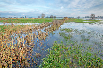 BUITEN BEELD Foto: 400784