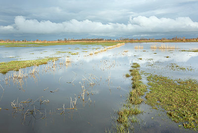 BUITEN BEELD Foto: 400785