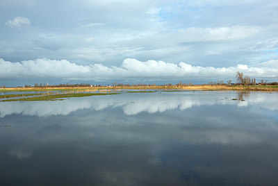 BUITEN BEELD Foto: 400820