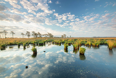 BUITEN BEELD Foto: 400839