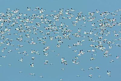 BUITEN BEELD Foto: 400853