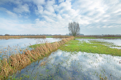 BUITEN BEELD Foto: 400856