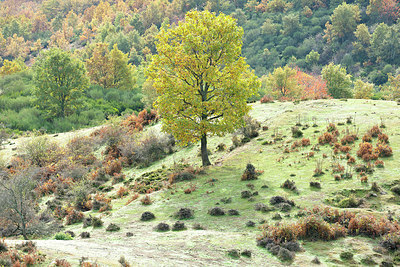 BUITEN BEELD Foto: 400858