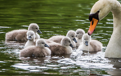 BUITEN BEELD Foto: 400934