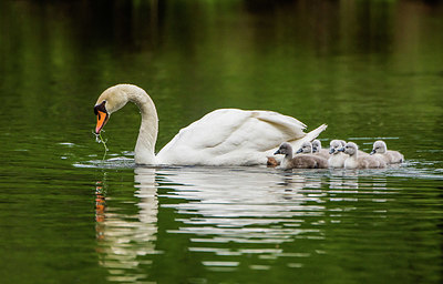 BUITEN BEELD Foto: 400935