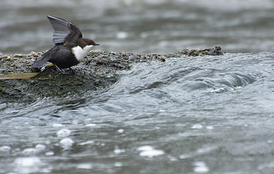 BUITEN BEELD Foto: 400940