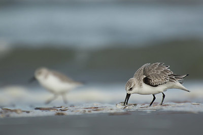 BUITEN BEELD Foto: 400946