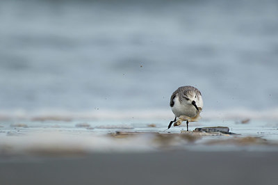 BUITEN BEELD Foto: 400947