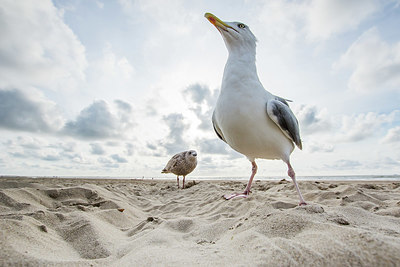 BUITEN BEELD Foto: 400952