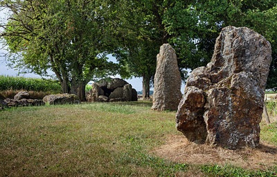 BUITEN BEELD Foto: 401152