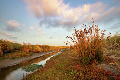 BUITEN BEELD Foto: 401200