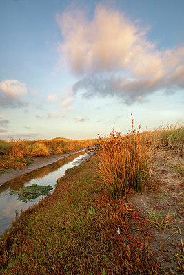 BUITEN BEELD Foto: 401201