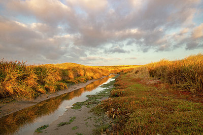 BUITEN BEELD Foto: 401203
