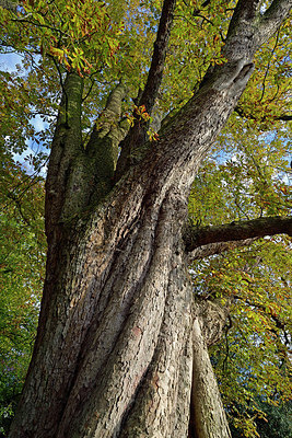 BUITEN BEELD Foto: 401245