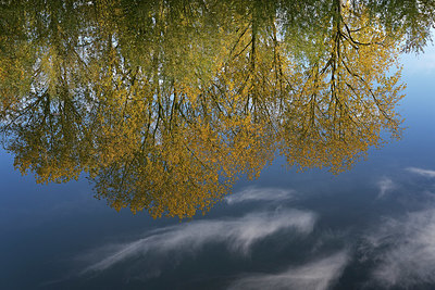 BUITEN BEELD Foto: 401292