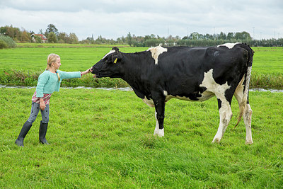 BUITEN BEELD Foto: 401511