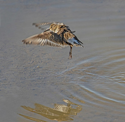 BUITEN BEELD Foto: 401574