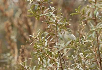 BUITEN BEELD Foto: 401638