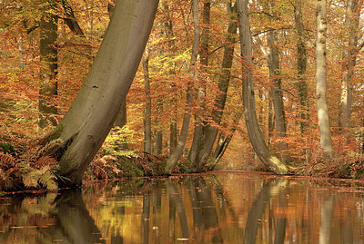 BUITEN BEELD Foto: 401656