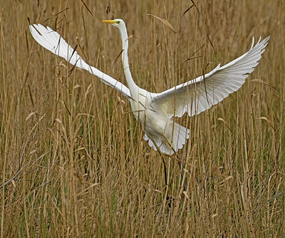 BUITEN BEELD Foto: 401662