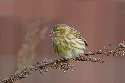 BUITEN BEELD Foto: 401713