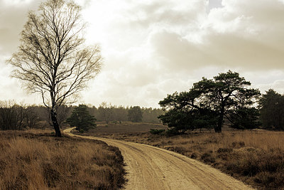 BUITEN BEELD Foto: 401724