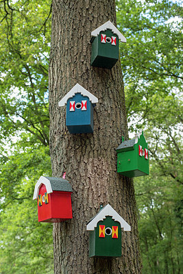 BUITEN BEELD Foto: 401744