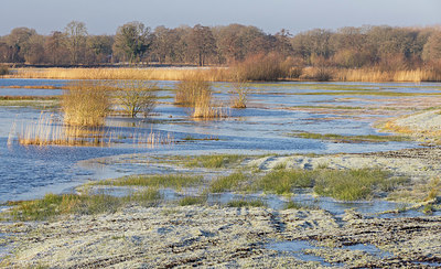 BUITEN BEELD Foto: 401756
