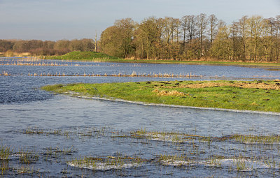 BUITEN BEELD Foto: 401764