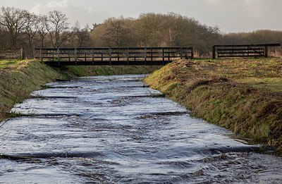 BUITEN BEELD Foto: 401814