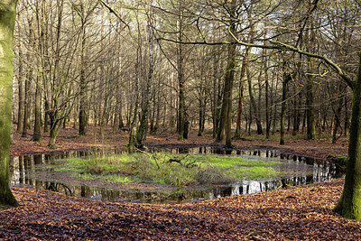 BUITEN BEELD Foto: 401835