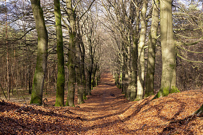 BUITEN BEELD Foto: 401838