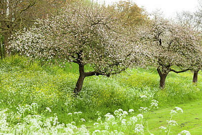 BUITEN BEELD Foto: 401849