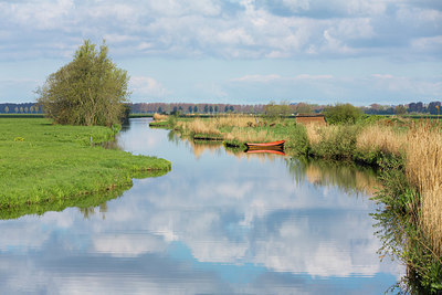 BUITEN BEELD Foto: 401860