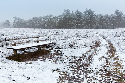 BUITEN BEELD Foto: 401863