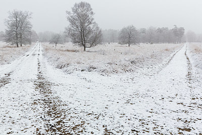 BUITEN BEELD Foto: 401866