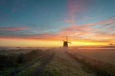 BUITEN BEELD Foto: 401872