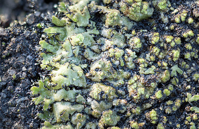BUITEN BEELD Foto: 401898