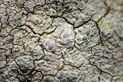 BUITEN BEELD Foto: 401901