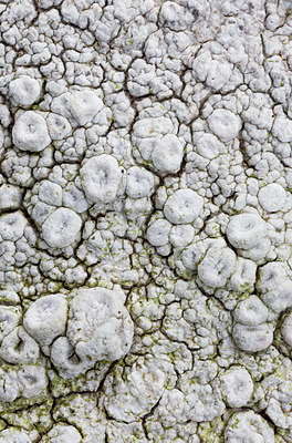 BUITEN BEELD Foto: 401905
