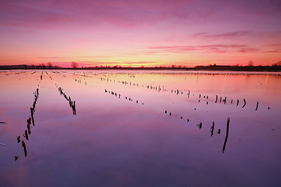 BUITEN BEELD Foto: 401933