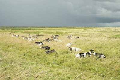 BUITEN BEELD Foto: 401935