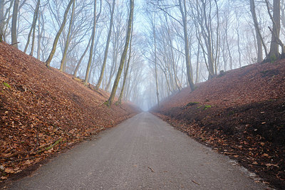 BUITEN BEELD Foto: 401943