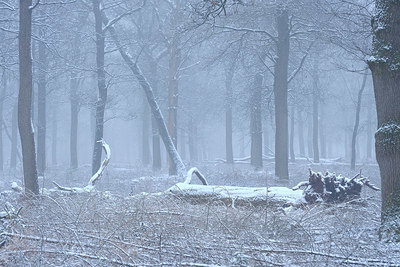 BUITEN BEELD Foto: 401947