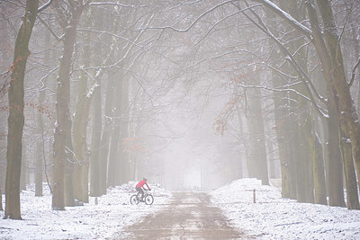 BUITEN BEELD Foto: 401972