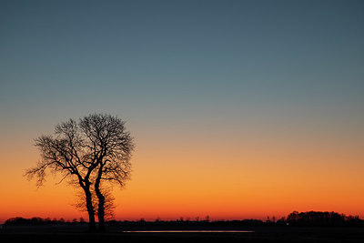 BUITEN BEELD Foto: 402159