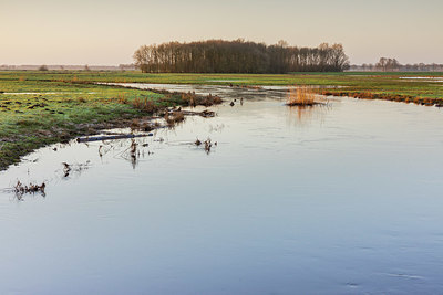 BUITEN BEELD Foto: 402349