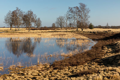 BUITEN BEELD Foto: 402353