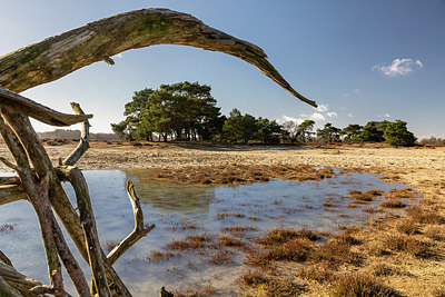 BUITEN BEELD Foto: 402358